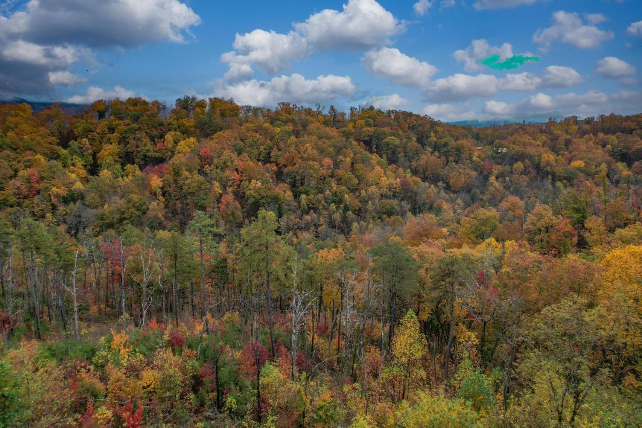 The Overlook - '21 Cabin - Gorgeous Unobstructed Views - Fire Pit Table - Gamerm - Hottub - Xbox - Lots Of Bears Gatlinburg Zewnętrze zdjęcie